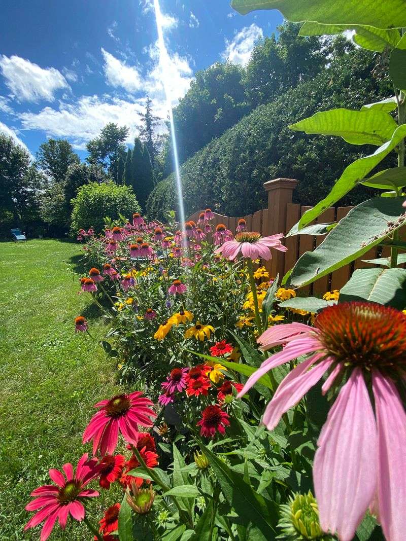 Create Low-Maintenance Flower Beds