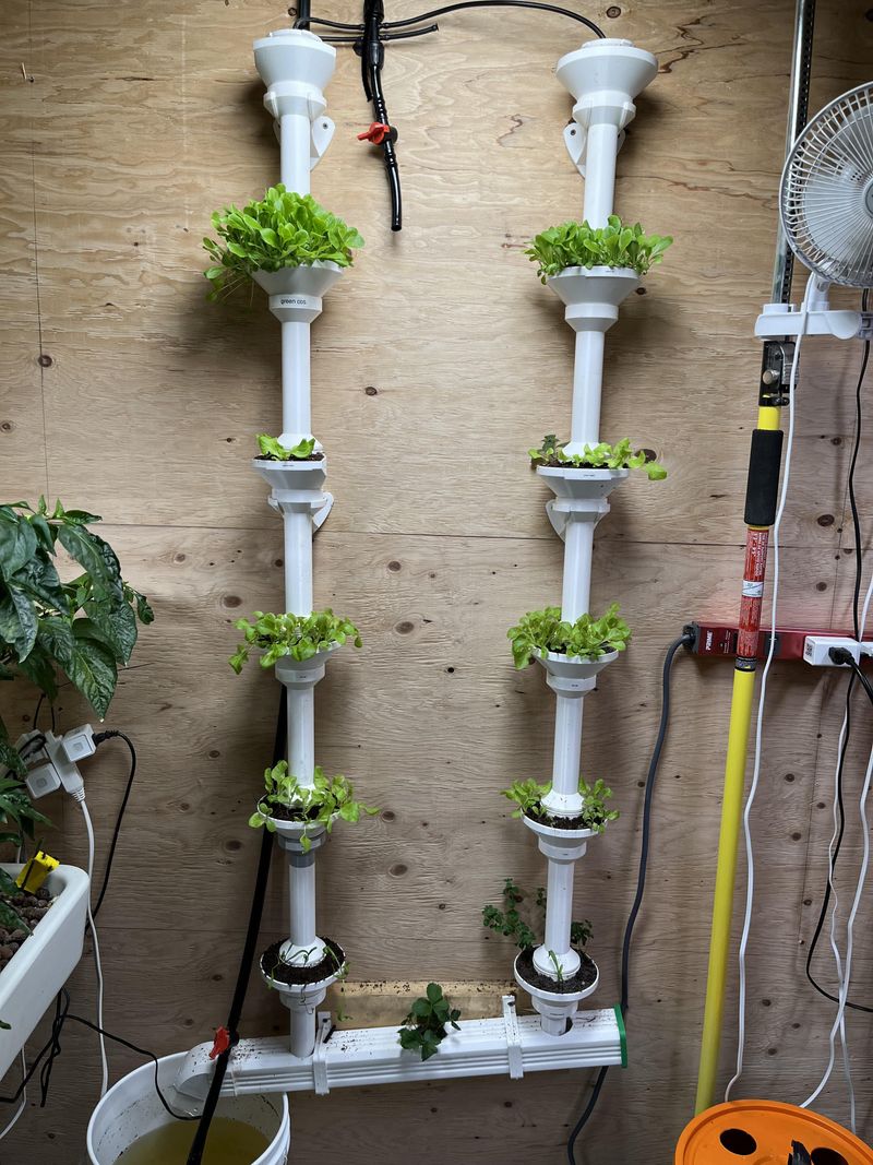 Community Building Through Shared Gardening