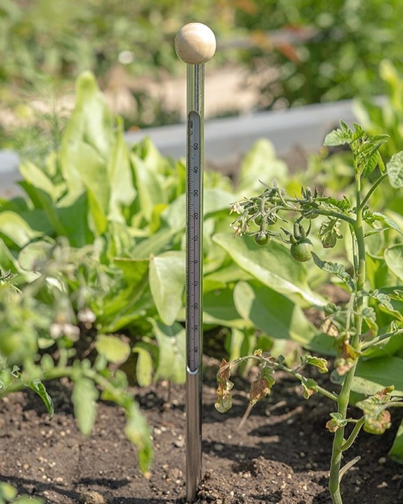 Regulates Soil Temperature Effectively