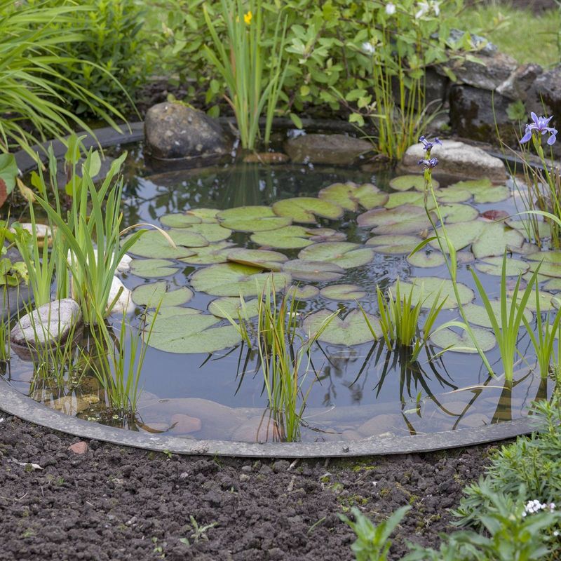 Affordable Installation And Setup Costs