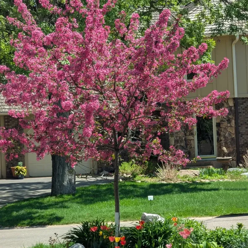 Compact Size Options For Smaller Illinois Properties