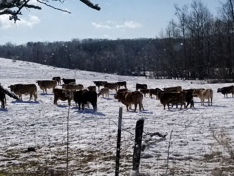 Forsyth County Residential Boom