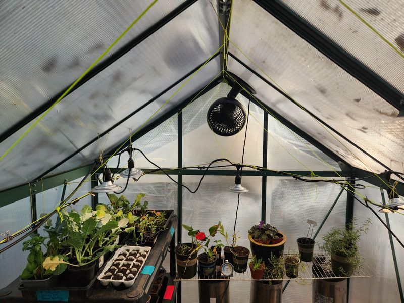 Reflective North Wall