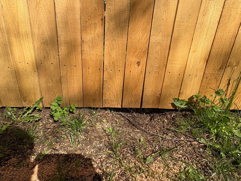 Seal Entry Points To Prevent Future Visits