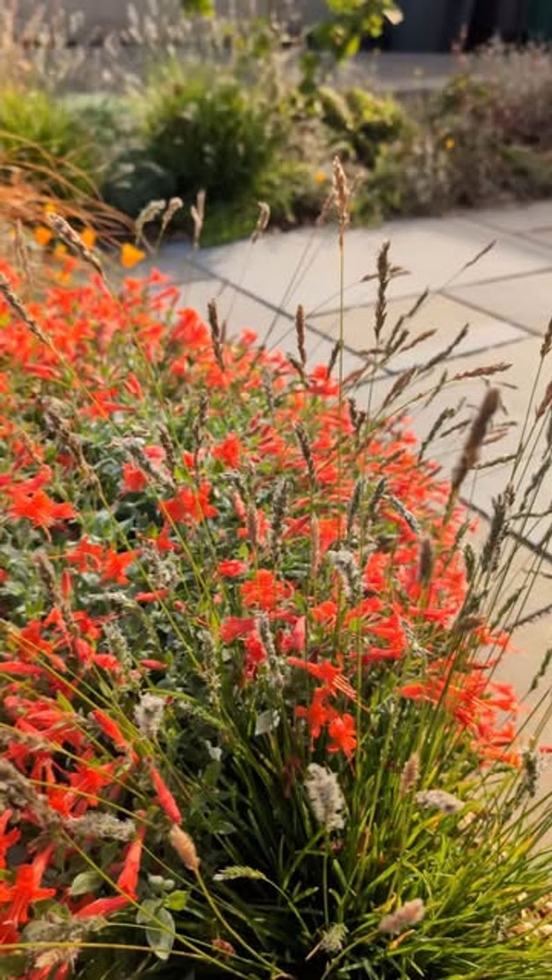 Plant Flowers That Bloom In Different Seasons