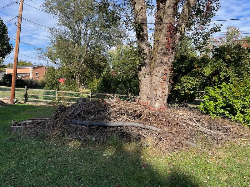 Create Brush Piles