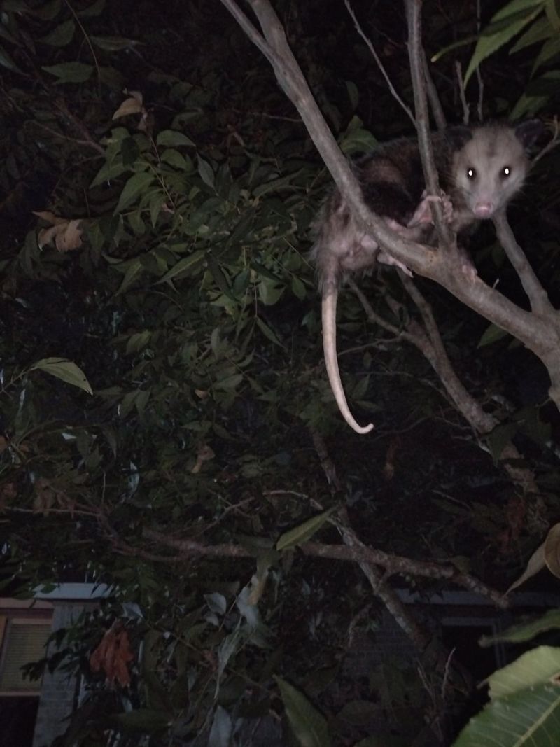 Wait Patiently For It To Leave