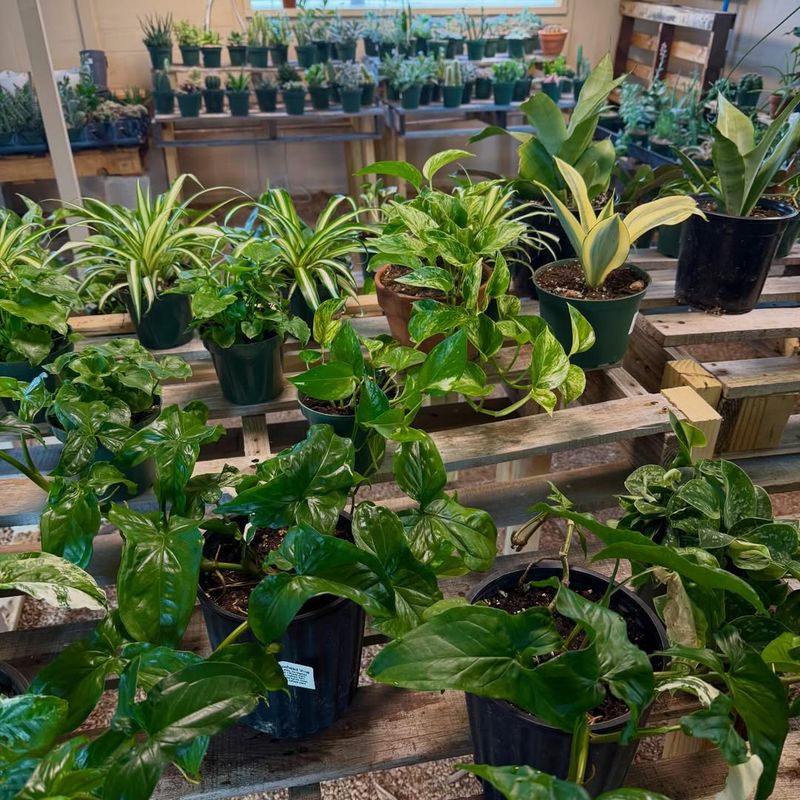 Better Budget Control Before The Growing Season