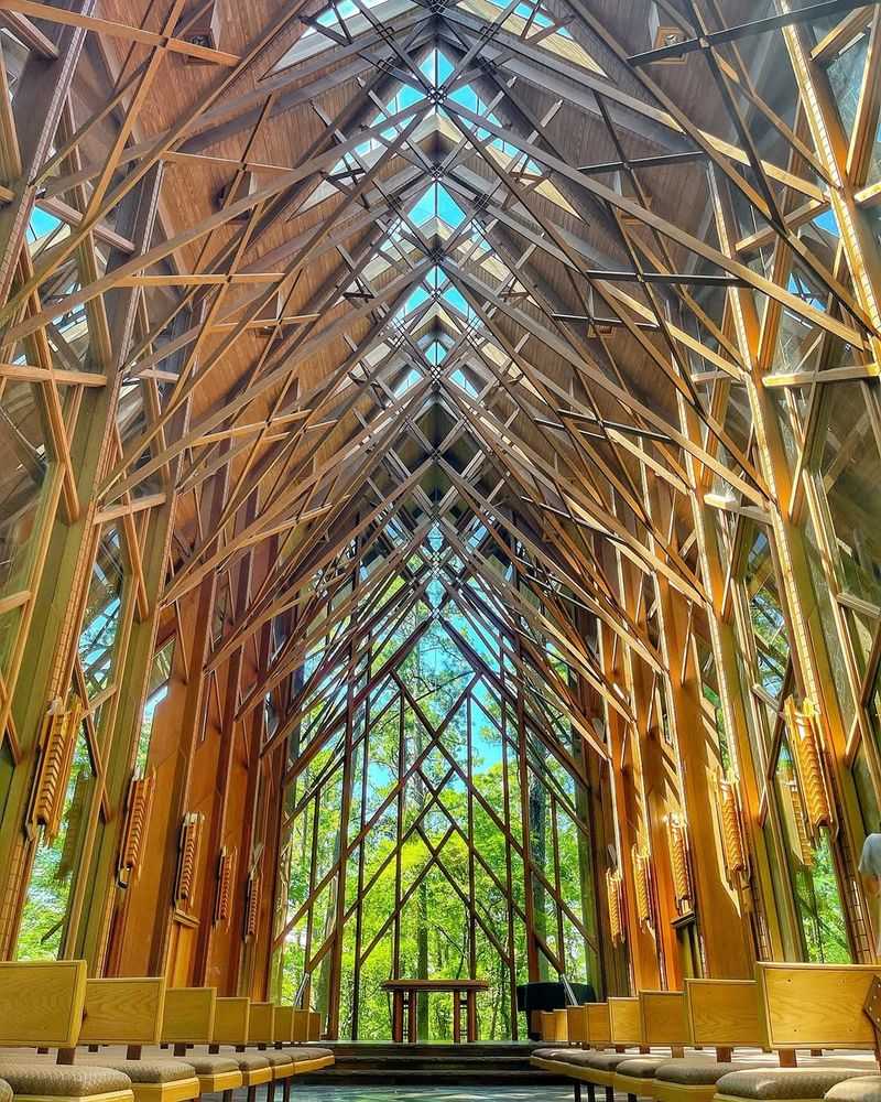 Serene Lakeside Views Along Lake Hamilton's Shore