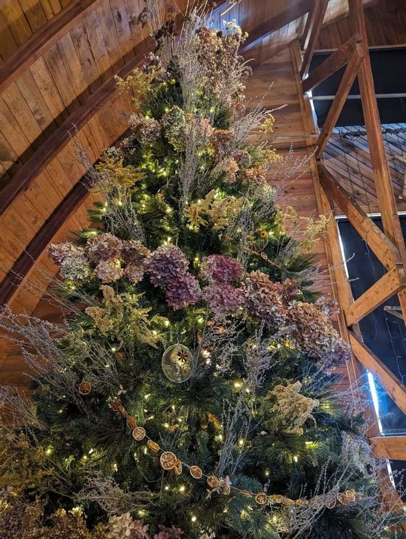 Extensive Conifer Collection Offering Year-Round Interest