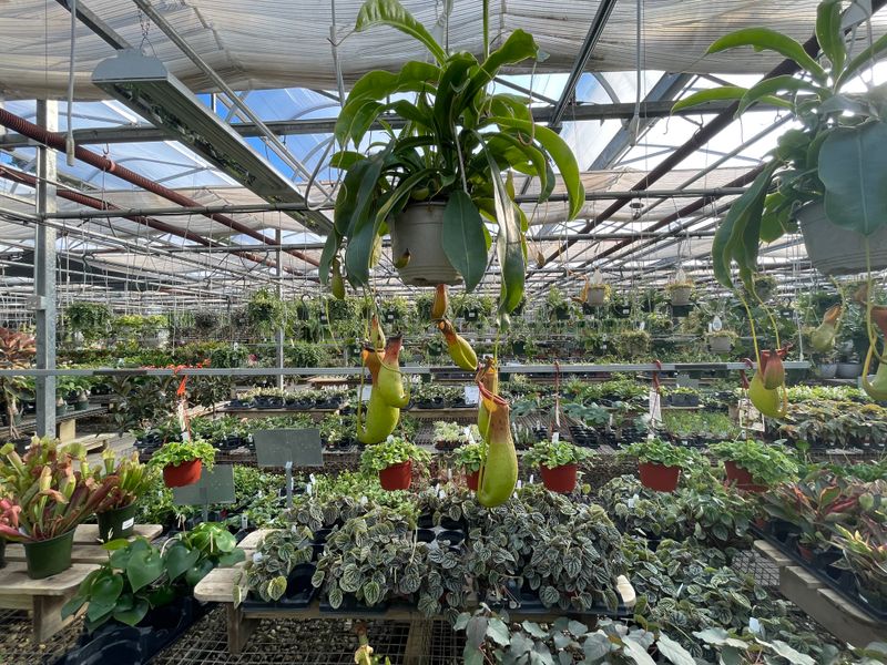 Tonkadale Greenhouse – Minnetonka