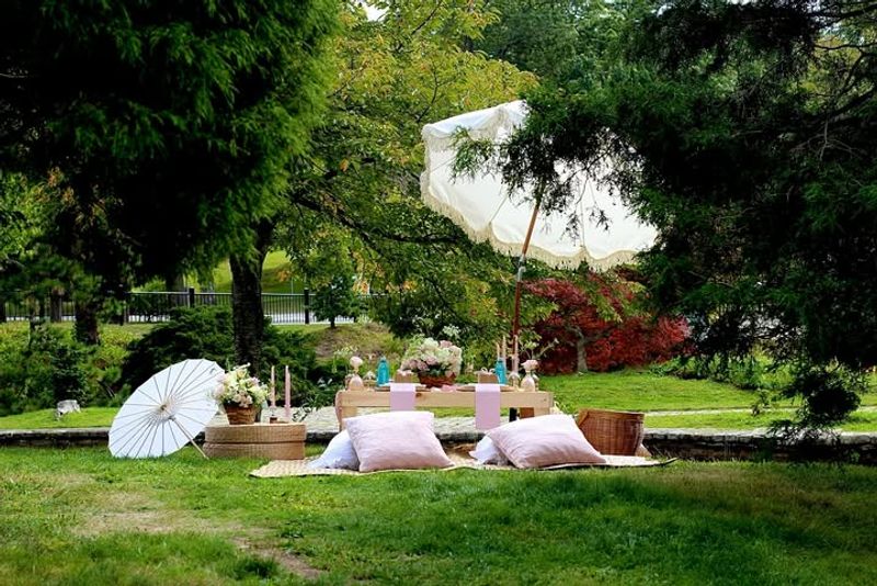 Picnic Dinners and Blanket Meals