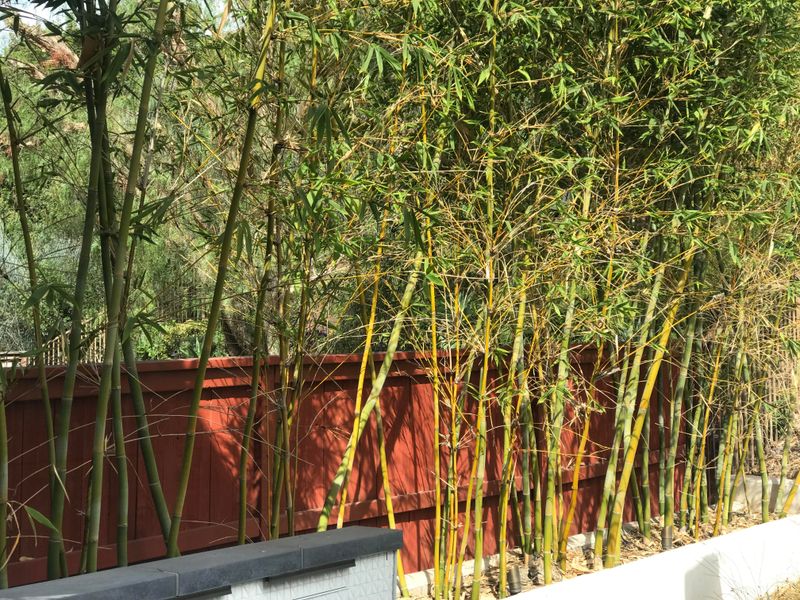 Document Everything Before Taking Action