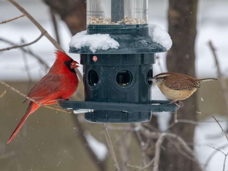 Neighboring Feeders May Be Empty Or Inconsistent