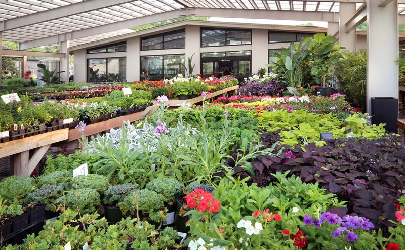 Shoal Creek Nursery Rotates Stock To Match Texas Weather Patterns