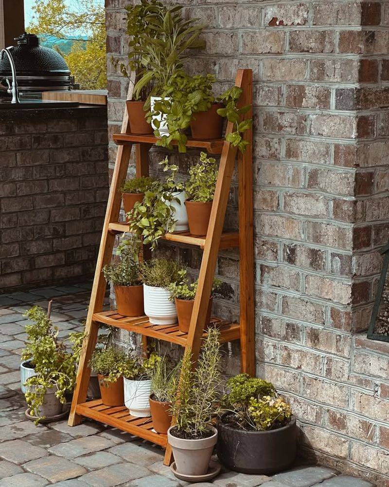 Ladder Plant Stands Display Potted Collections