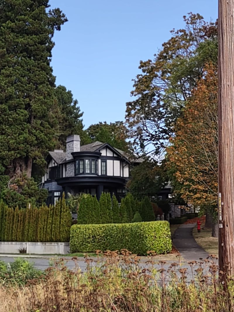Orchard Street Food Forest in Bellingham