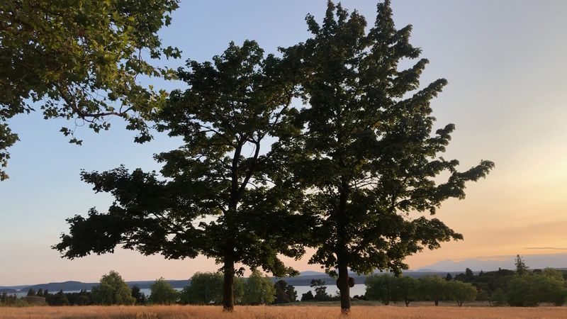 Discovery Park Perimeter Trail