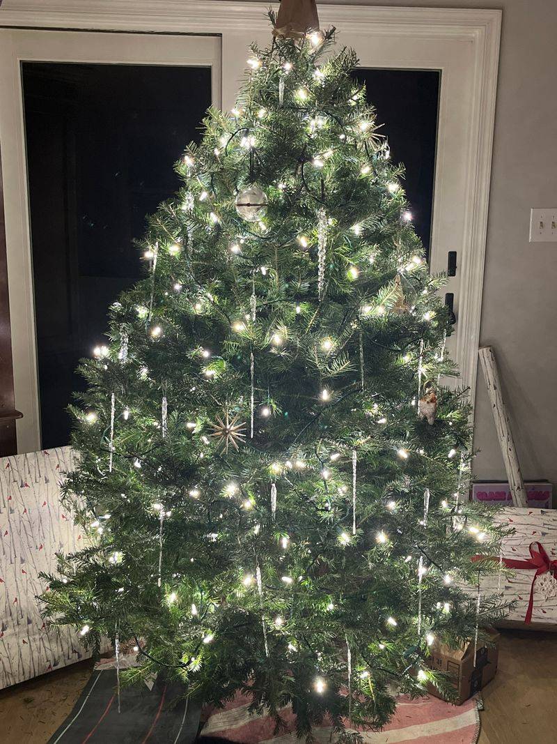 Pine Brook Hollow Tree Farm