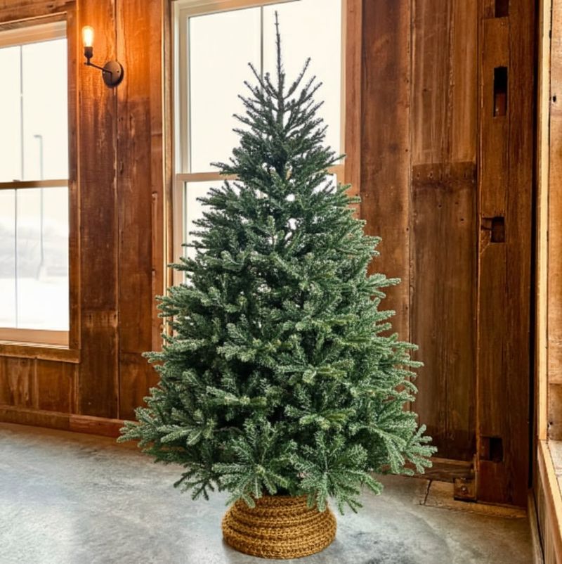 Know Your Tree Species Options