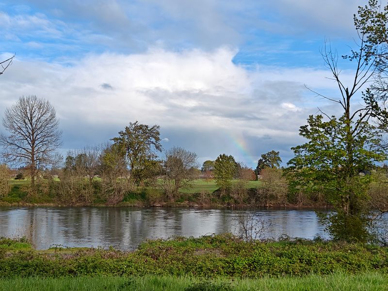 Corvallis Near Oregon State University Campus