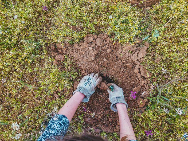 Water Retention Improves Dramatically