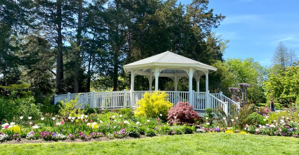 Best Places To See Winter-Blooming Flowers In Virginia