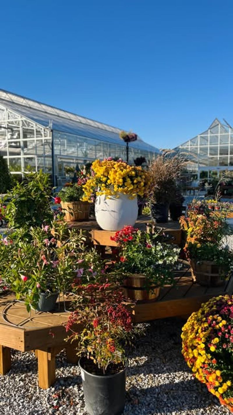 Lower Prices And Off-Season Discounts