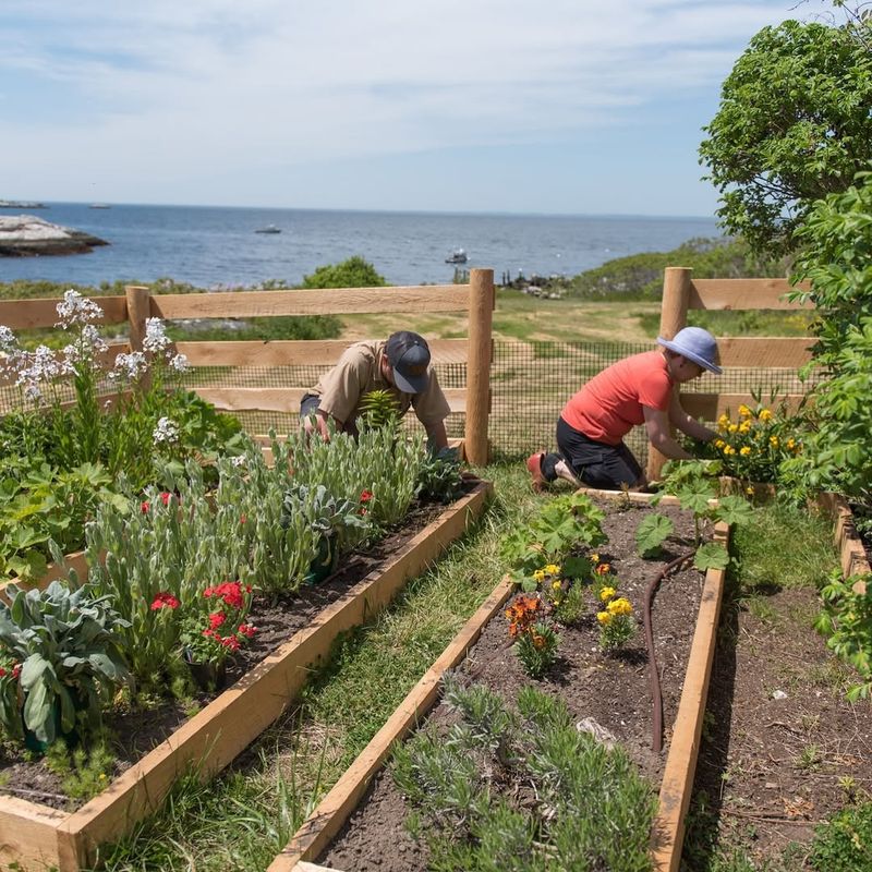 Access To Expert Advice And Resources