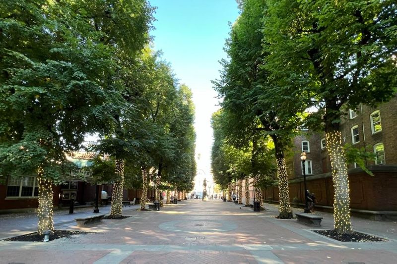 Long-Term Carbon Storage and Climate Action