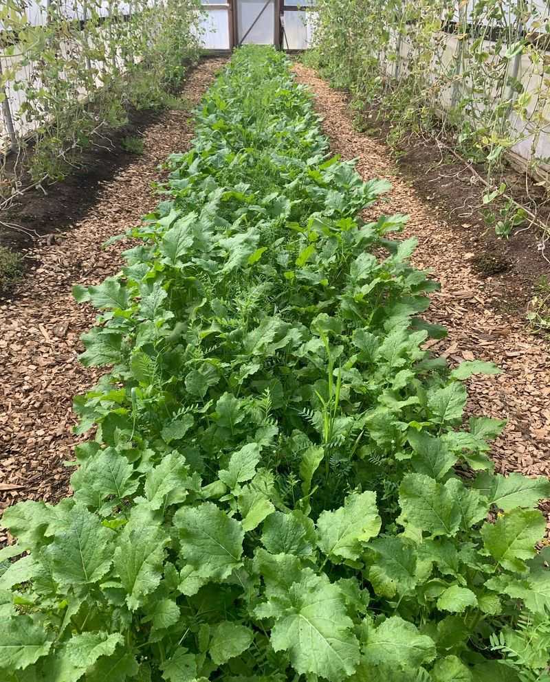 Increased Soil Fertility Over Time