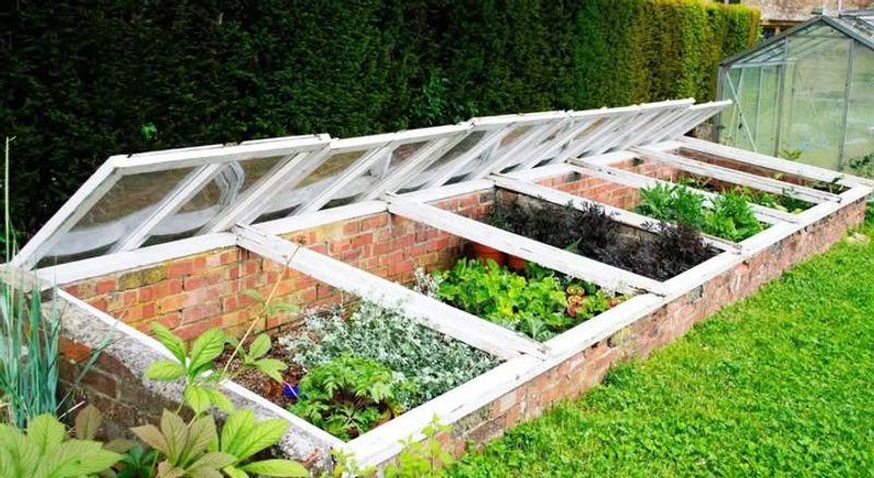 Affordable Gardening On A Budget