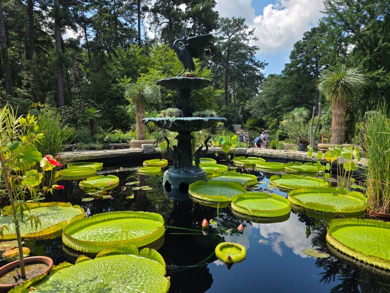 Sarah P. Duke Gardens