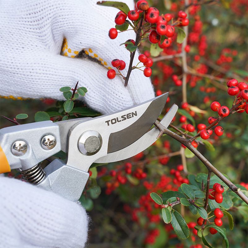 Cutting Capacity Varies Significantly