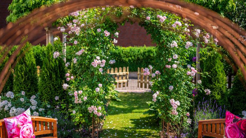 Rose Archway Leading to the Backyard