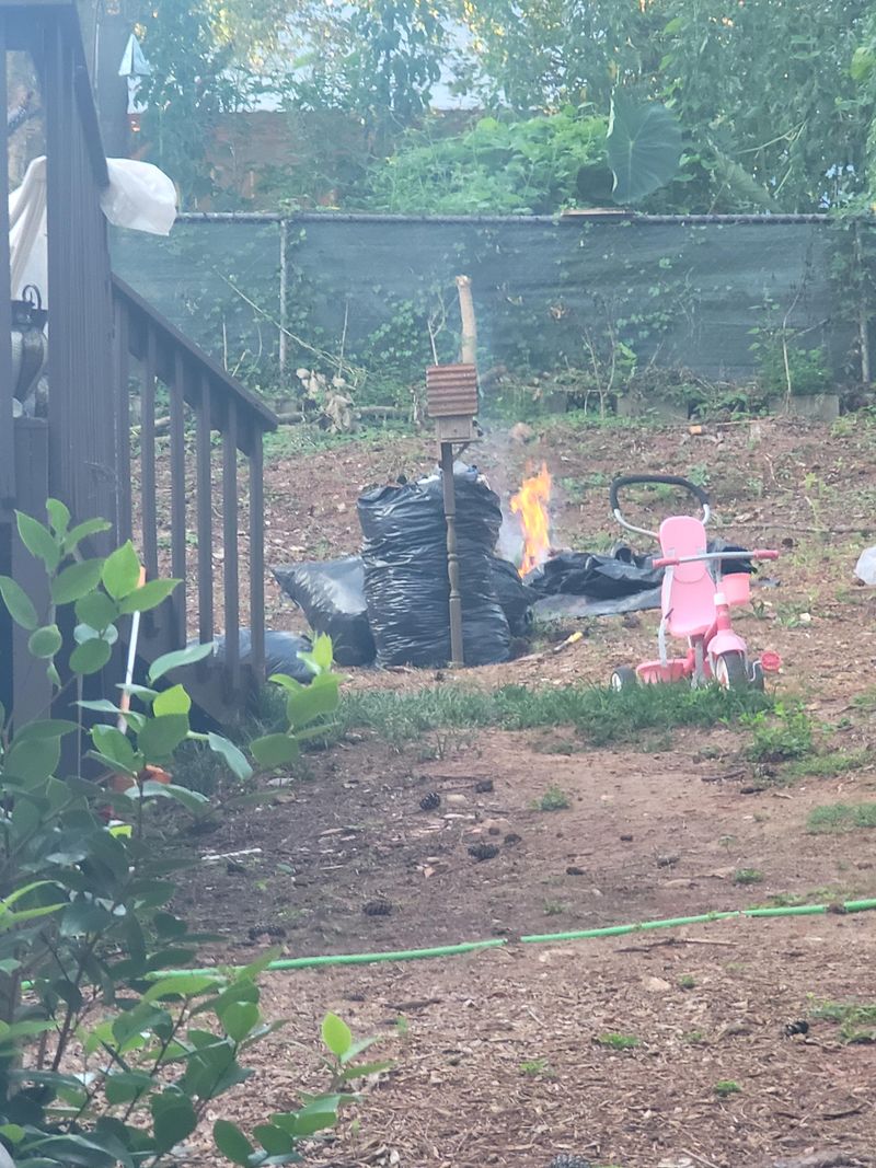 Waste You've Burned Illegally