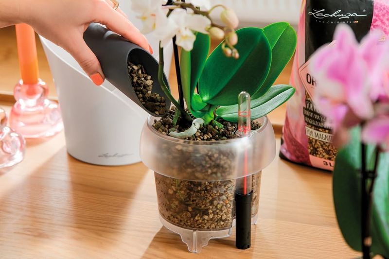 Fertilize Less Frequently But Consistently