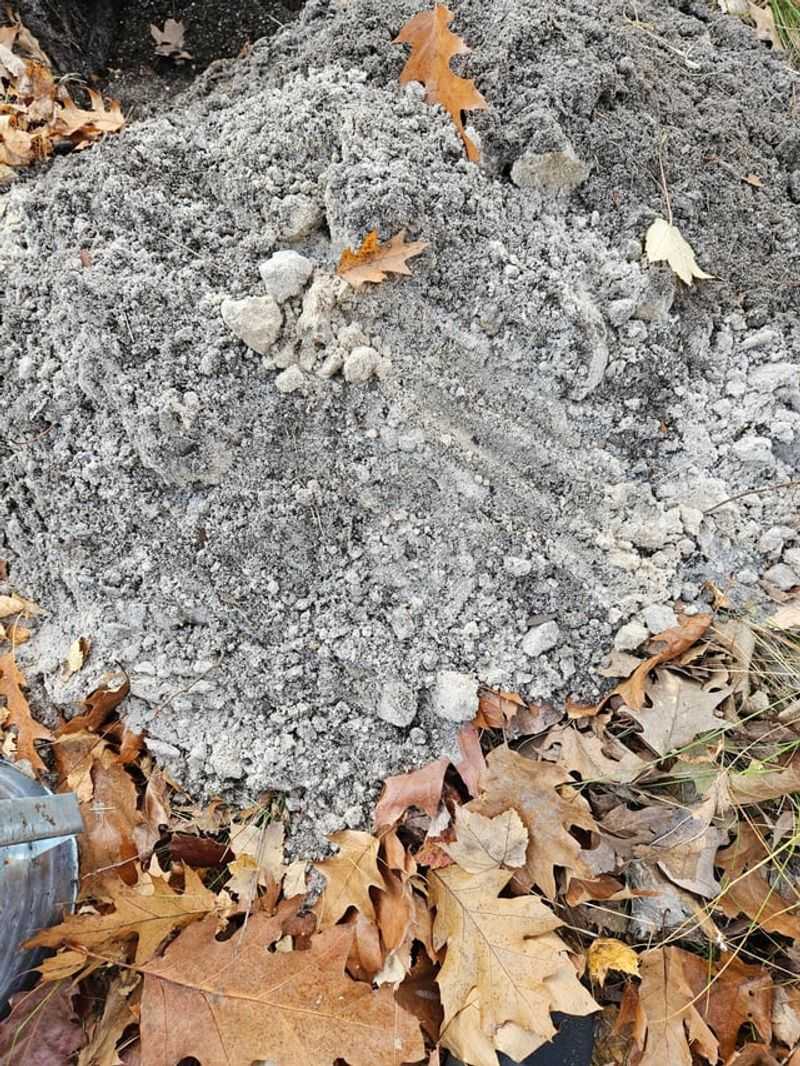 Root Rot Thrives In Michigan's Clay Soils