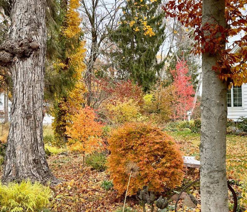 Nuisance Claims Rarely Succeed For Falling Leaves