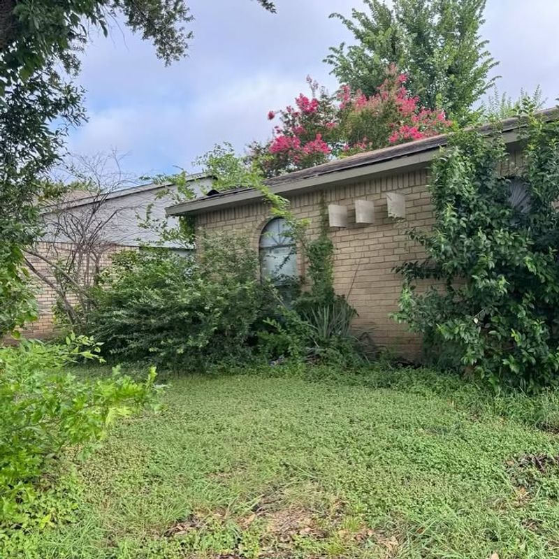 You Cannot Force Your Neighbor To Trim Their Plants