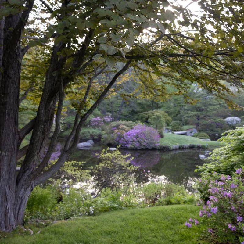 Japanese-Inspired Design Creates Tranquil Atmosphere