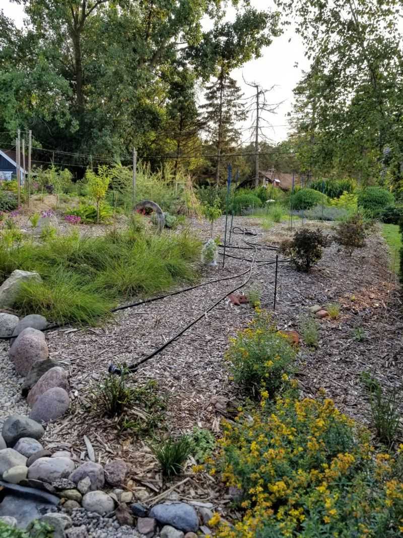 Urban Development Pushes Them Into Gardens