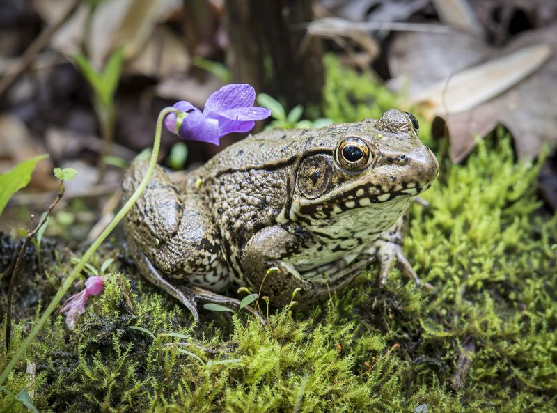Chemical Use In Your Area Is Low