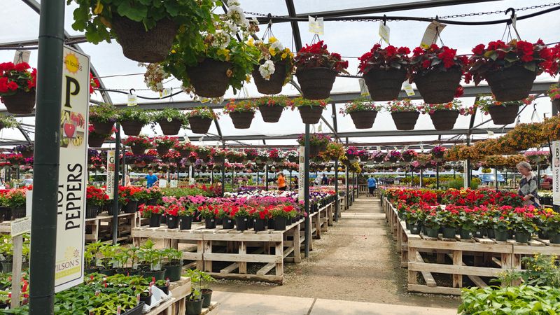 Wilson’s Garden Center — Newark, Ohio