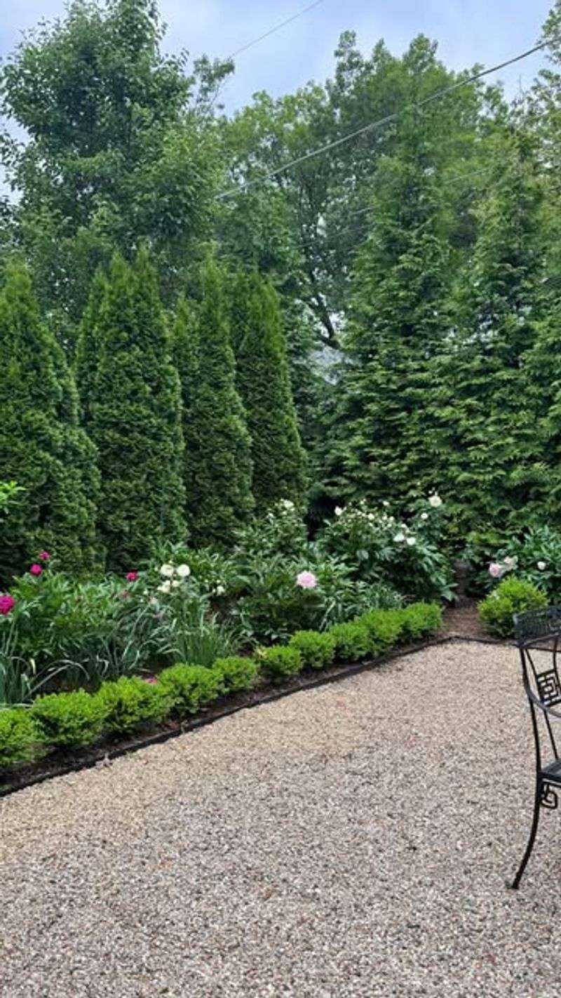 Non-Native Privacy Hedges