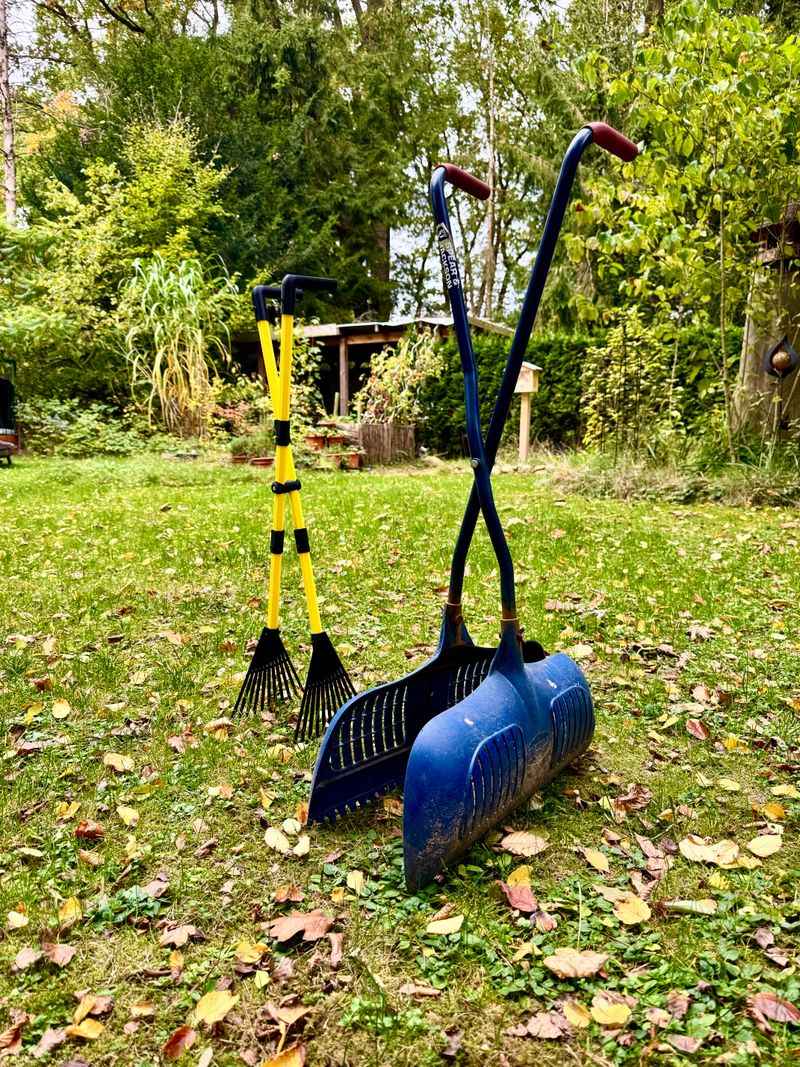 Ergonomic Leaf Grabbers