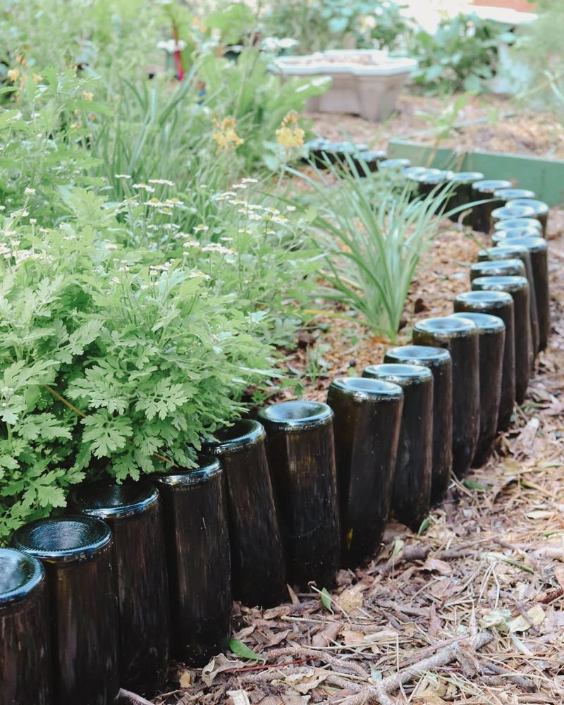 Wine Bottle Borders Edge Garden Beds Stylishly