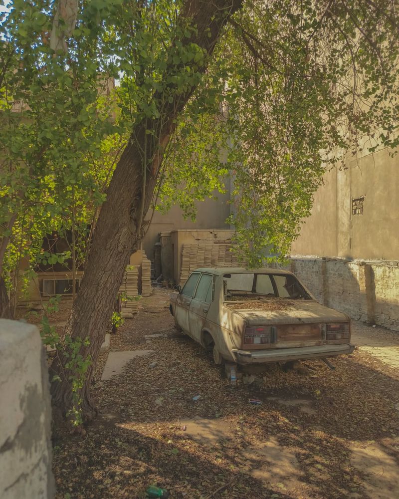 Abandoned Vehicles And Auto Parts