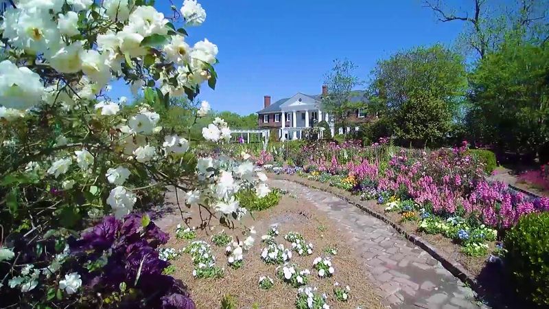 Boone Hall Plantation - Charleston's Historic Rose Gardens
