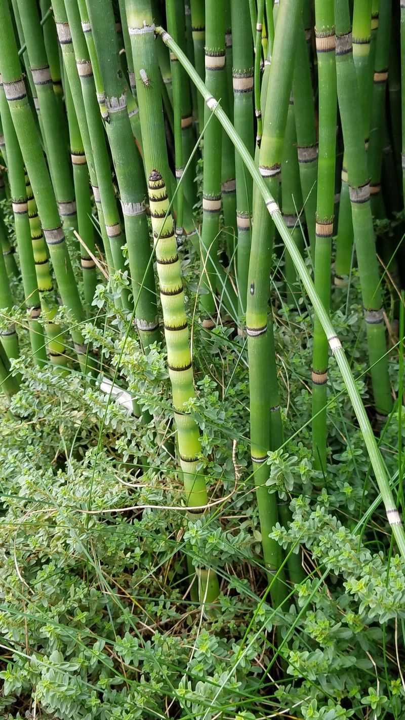 Queens Botanical Garden's Tropical House